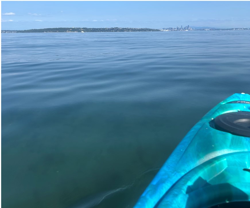 08/16/26 kayak paddle from Murden Cove with Seattle skyline in the distance