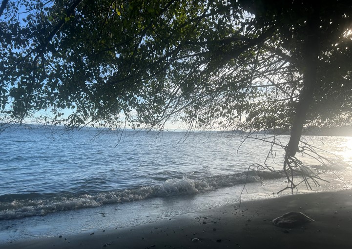 11/28/25 kayak paddle in Murden Cove