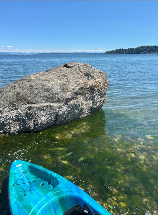 07/12/26 kayak paddle in Murden Cove