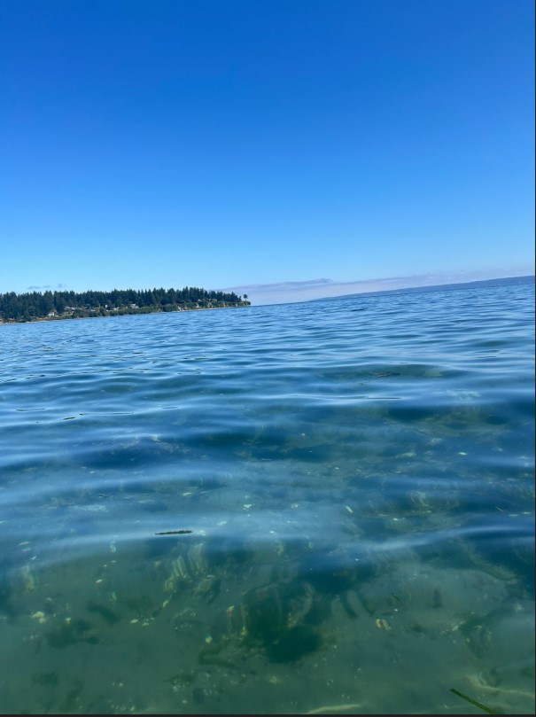 07/19/26 kayak paddle in Murden Cove