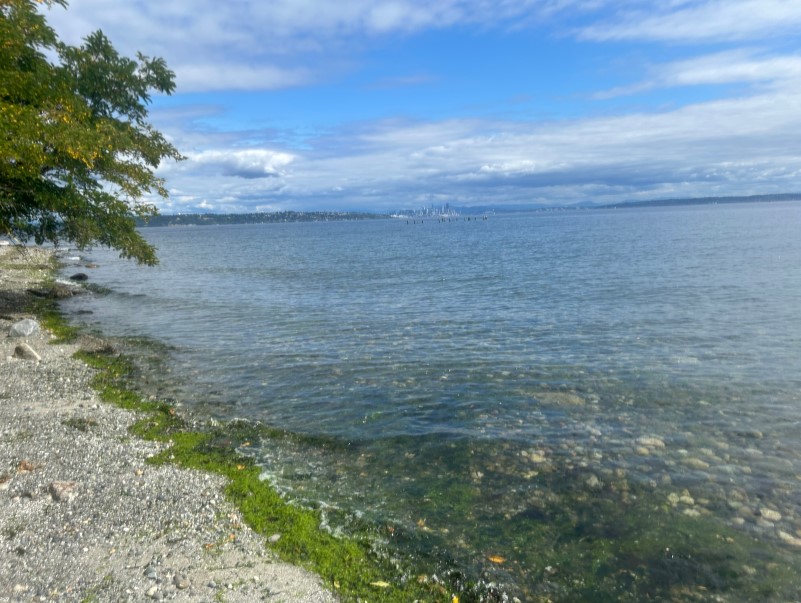 08/23/26 kayak paddle in Murden Cove