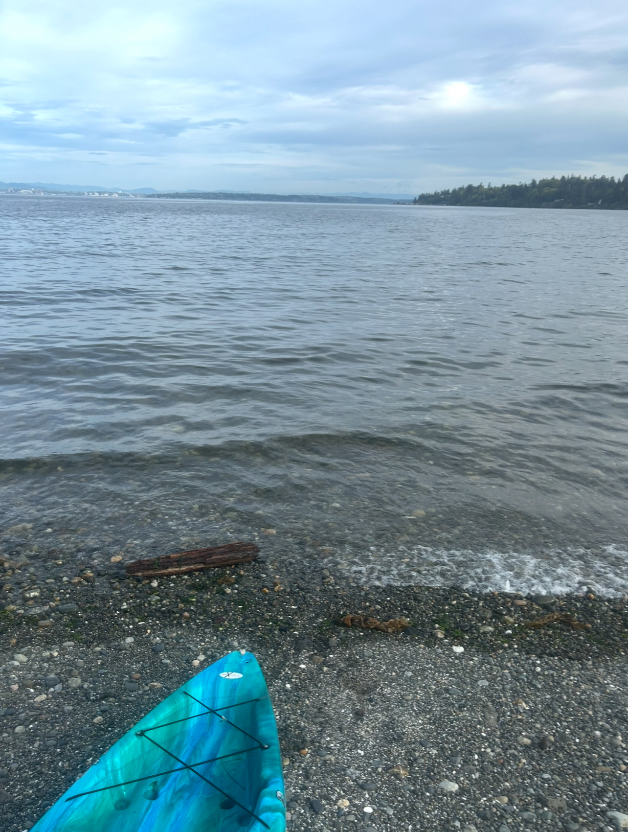04/19/26 kayak paddle in Murden Cove