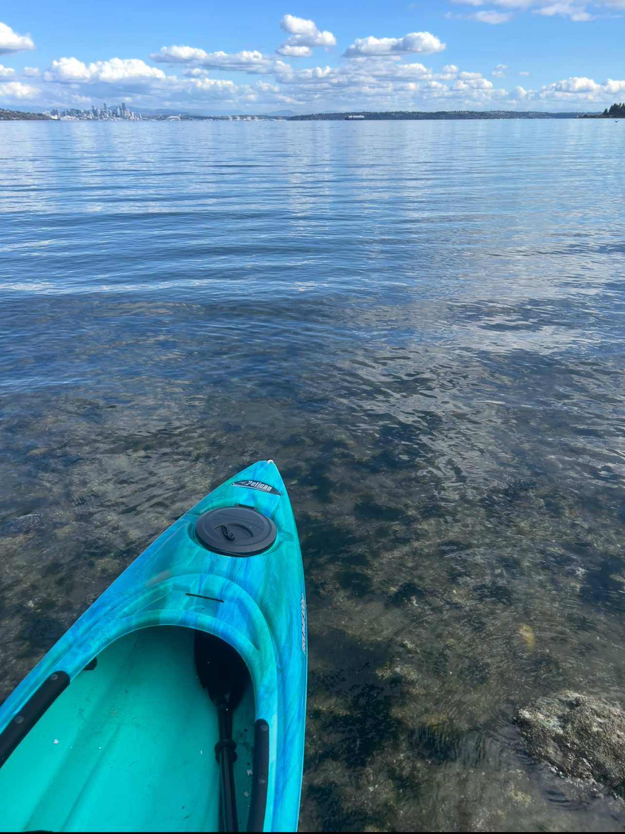 03/21/26 kayak paddle in Murden Cove