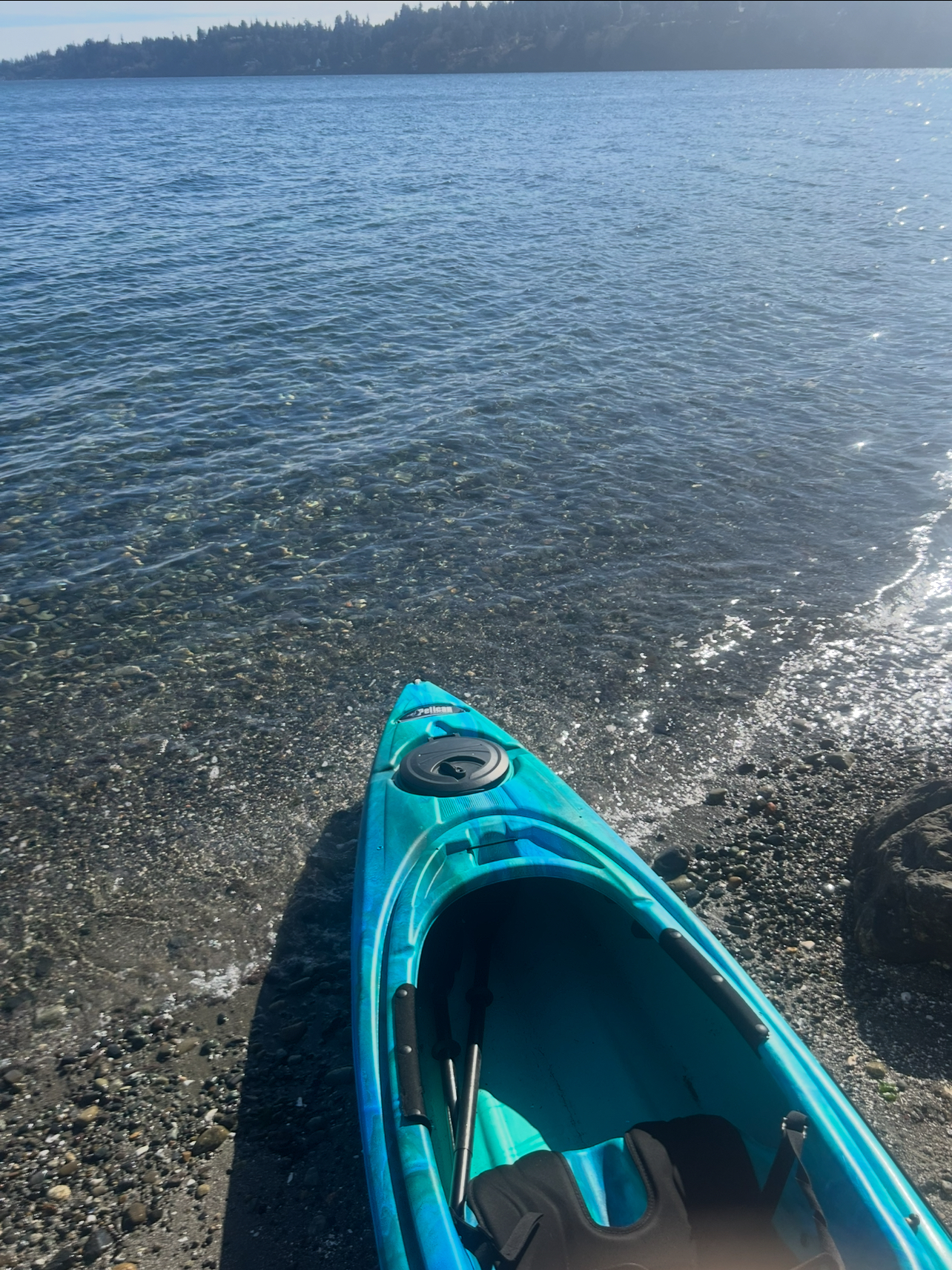 03/01/26 kayak paddle in Murden Cove