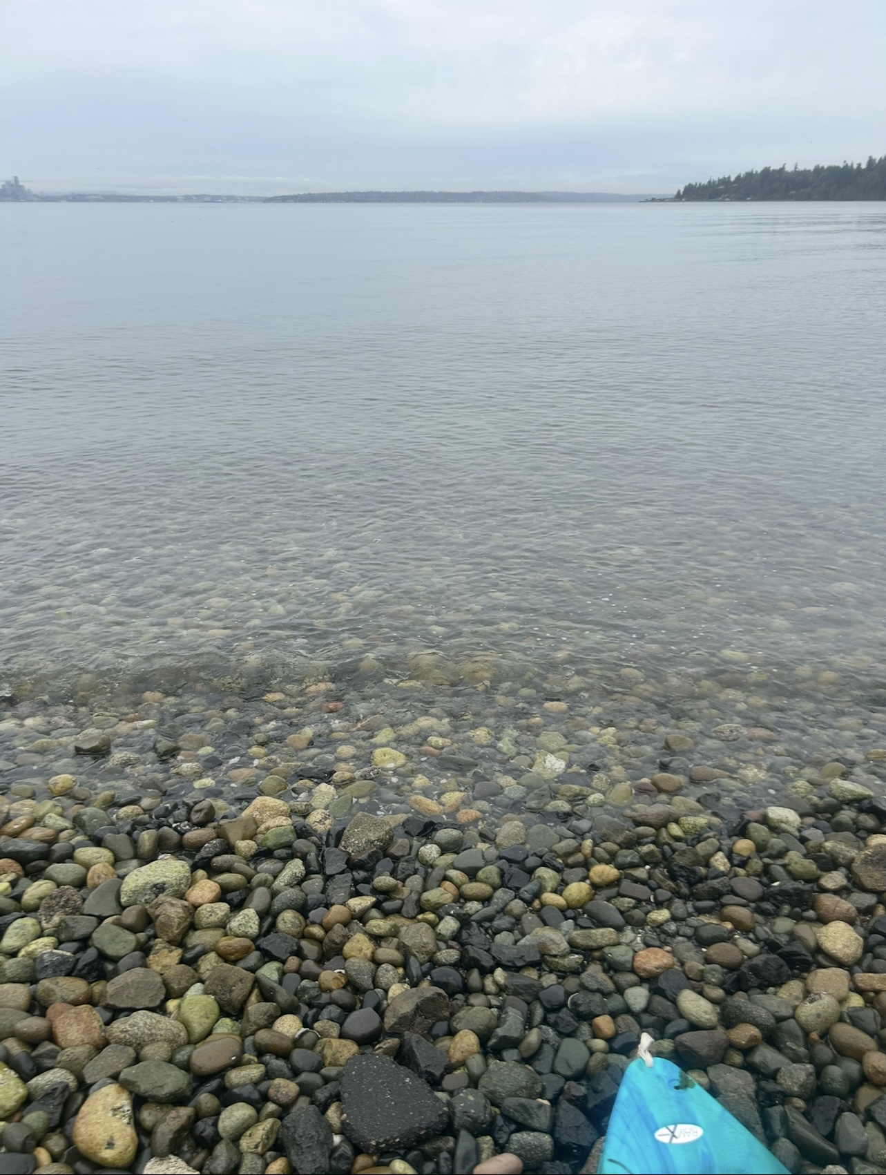 02/08/26 kayak paddle in Murden Cove