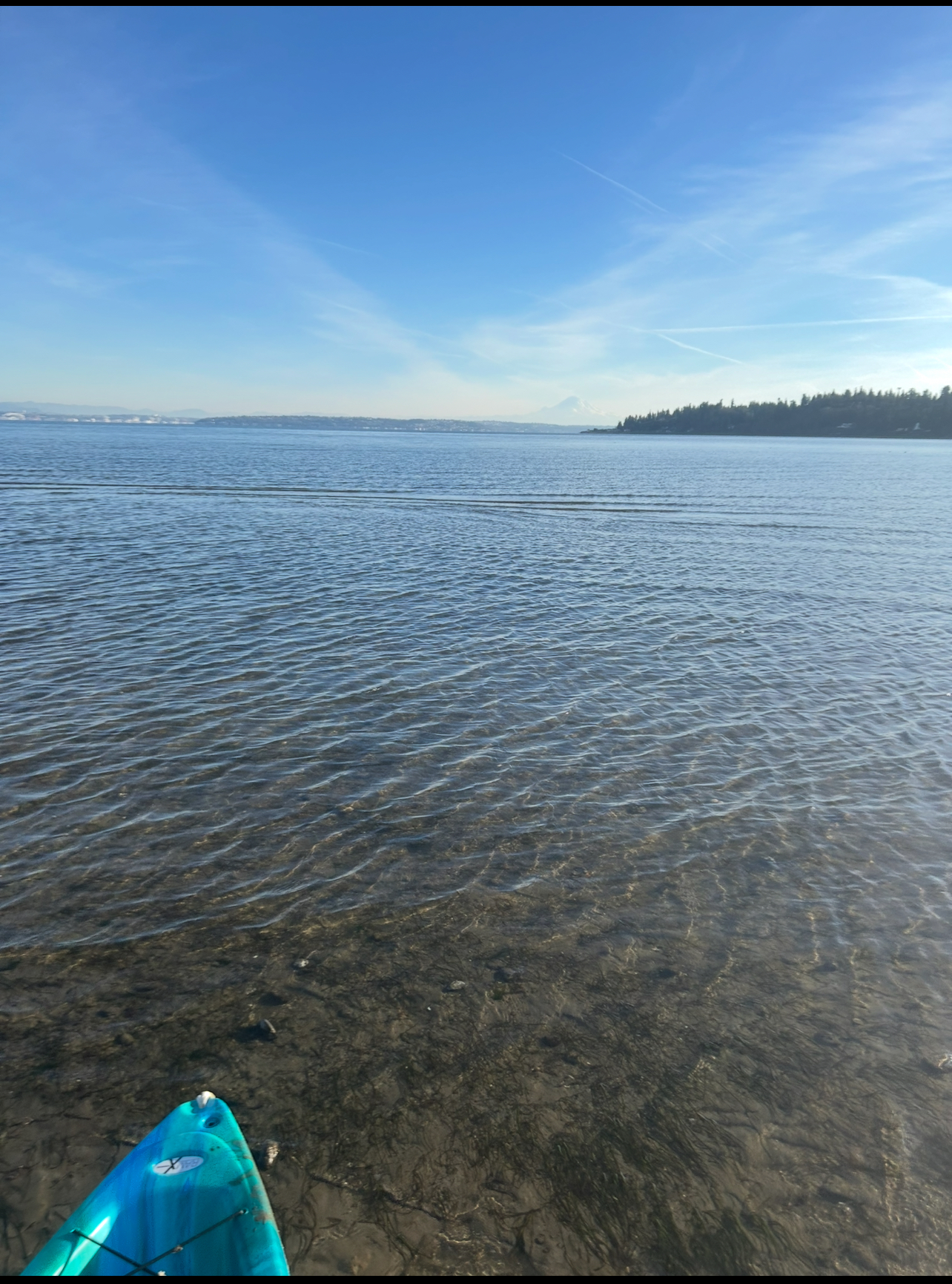 01/25/26 kayak paddle in Murden Cove