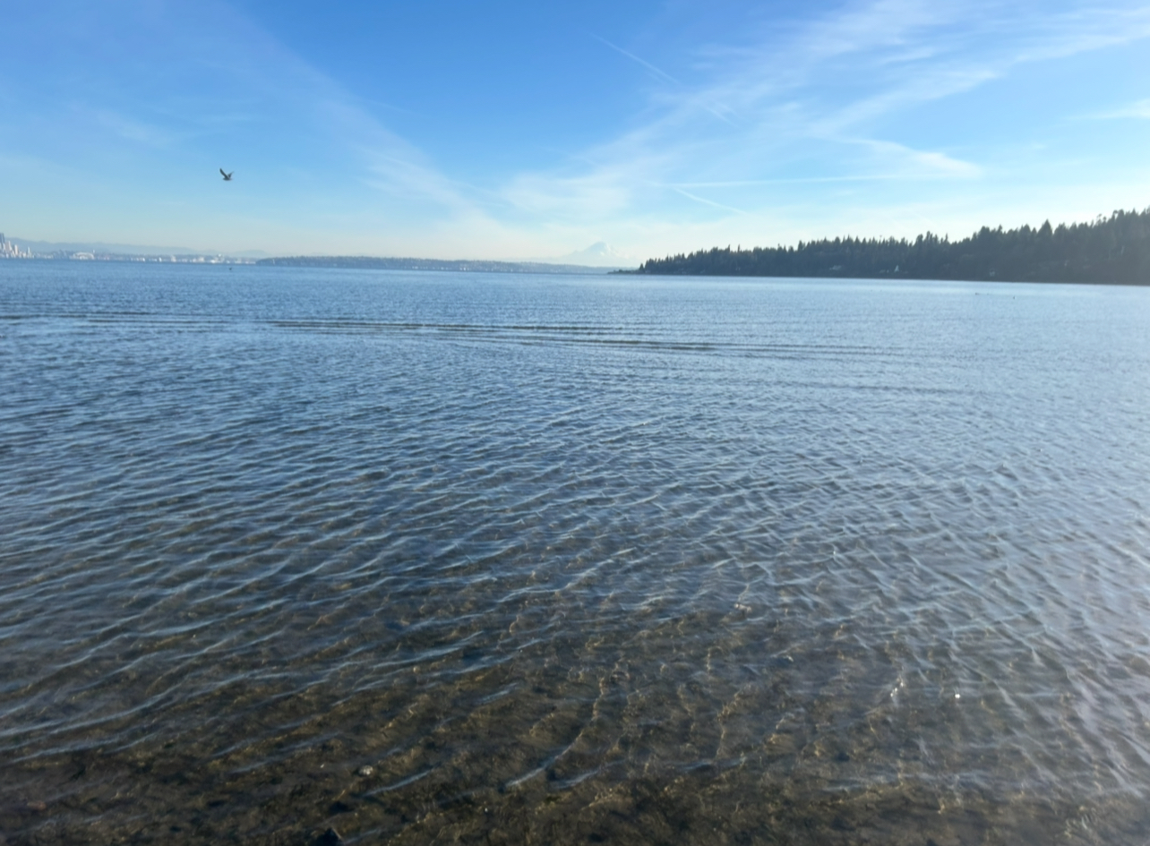 01/19/26 kayak paddle in Murden Cove
